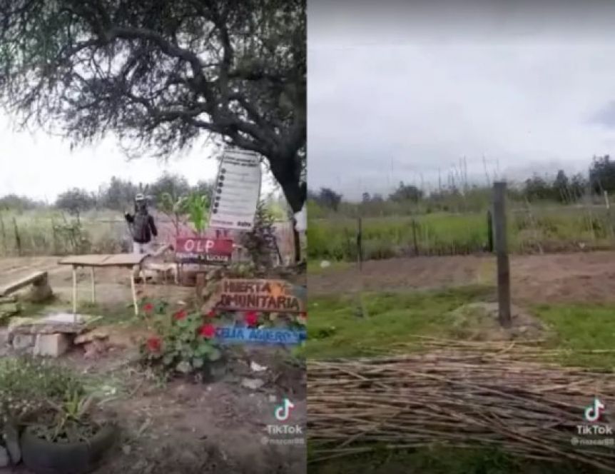 Duende en Salta: el video de TikTok que sorprendió a todos, Crónica